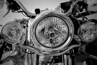 Harley-Davidson-Bikers-Motorcycle-Harley-Biker-1637972